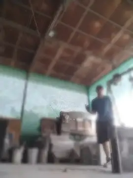 carelomio webcam