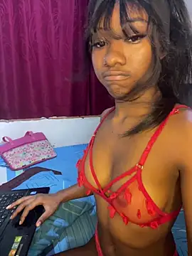 chanelltovi webcam