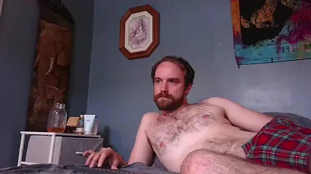 hpluvsplata webcam