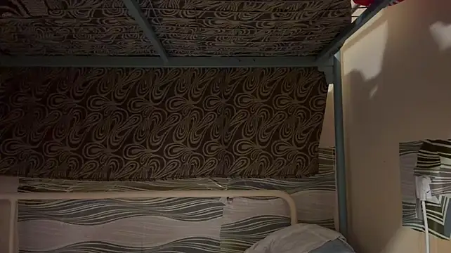 NgaMuszar webcam