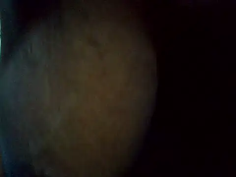 fatcreampussm