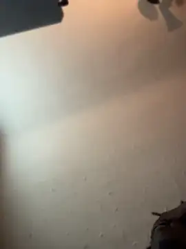 JasperBlaxx webcam