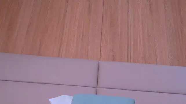 ZoehAngel webcam