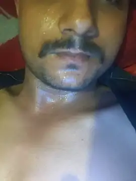Ayanpbh webcam