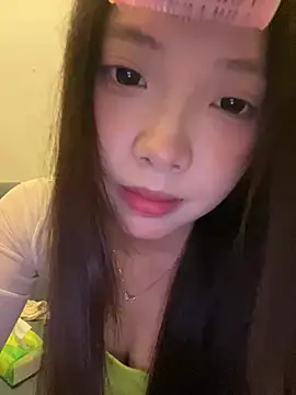 YY-1-1-1 webcam