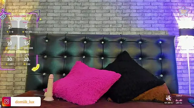 Dominik_lux webcam