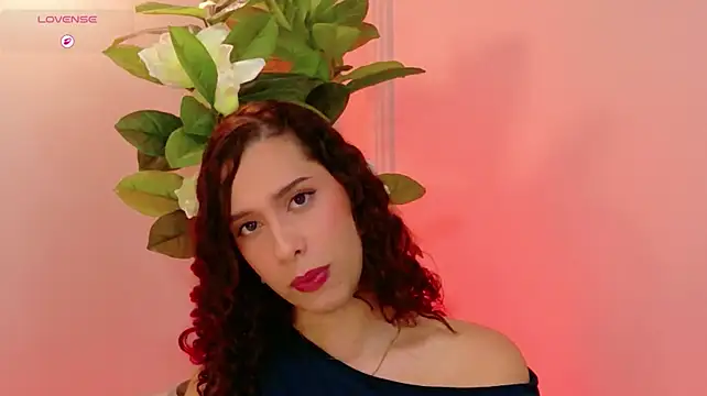 Sophie-Waldorf webcam