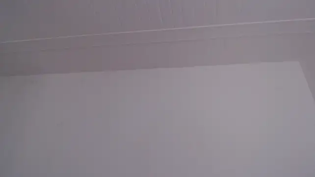 ElizabethMiler webcam