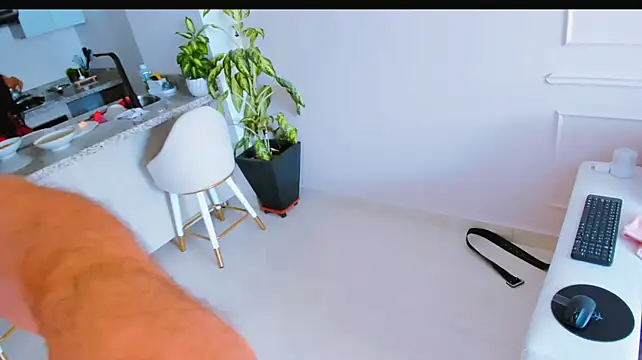 Honey__pot webcam