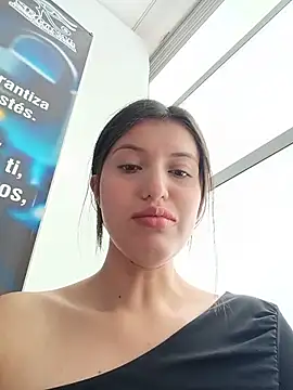SALOME-28_ webcam