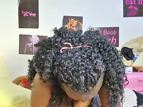 Aria_ah webcam