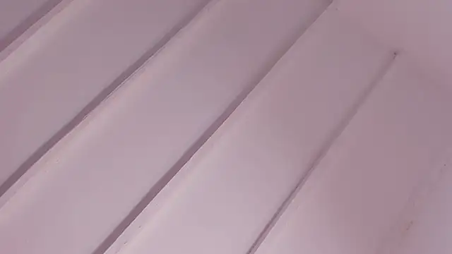 EvelynBlak1