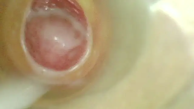 karol_stom