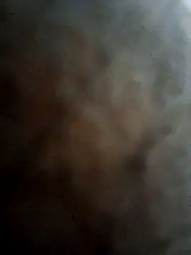 malluflash