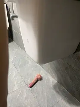 vietAnhzip