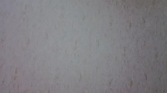 georgymaryhi webcam