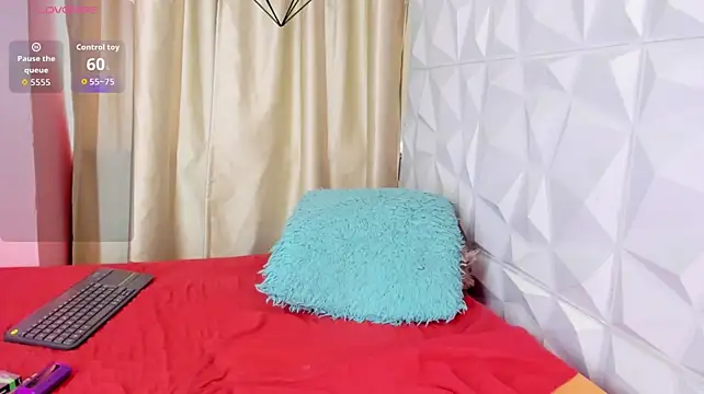 Jaadewest webcam