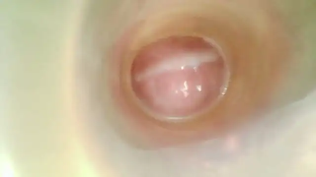 karol_stom webcam