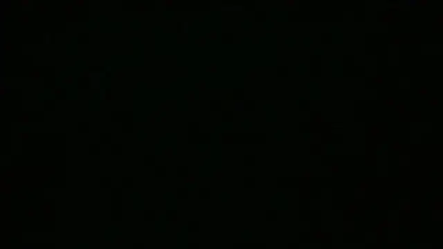Ladywinter webcam