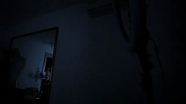 MeyBaldini webcam