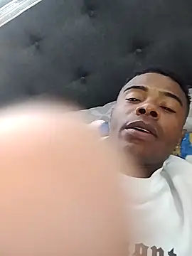 InsituFull webcam