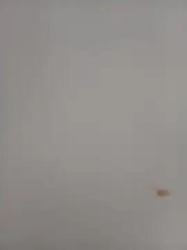 katialatimaecha webcam
