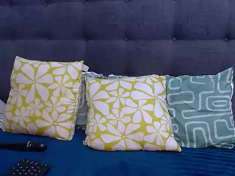 BaselBlues webcam