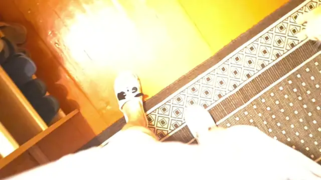 Vuitton webcam