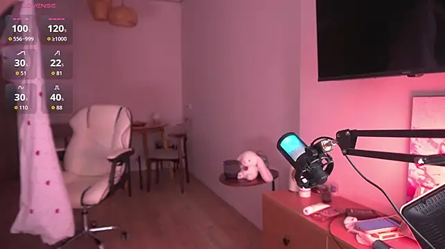 koyoomi webcam