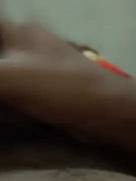 Bull_young2 webcam