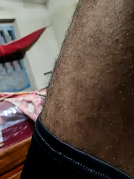 Bengali_BULL1 webcam