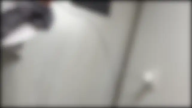 FixitKitty webcam
