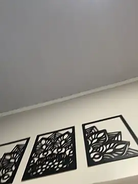 Manuellegutie webcam