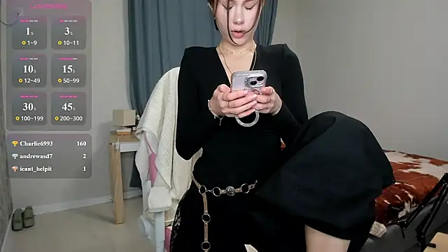 Vanellopes webcam