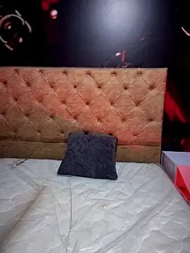 Ashlie_Rodriguez_LS webcam