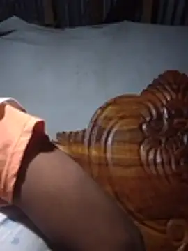 Pushpa-21 webcam