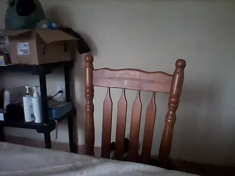 FCarls1 webcam