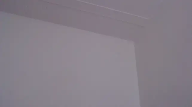 ElizabethMiler webcam