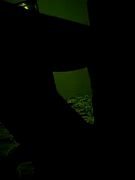 Deltatwink23 webcam