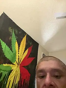 NiftyCaptain3