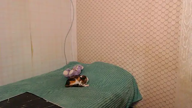 Janiffer_MiMi live cam on StripChat