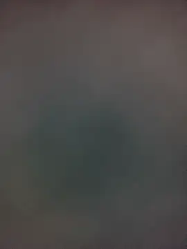 Axer1960 webcam