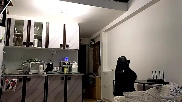 RyanStorm_ webcam