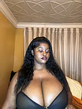 Bella-Porsche webcam