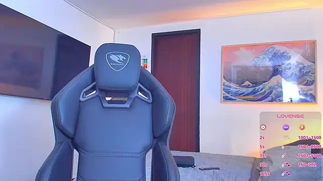 RJBarto webcam