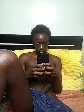 myles_erqt webcam