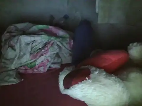 mylli3 webcam