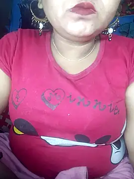 Delhi_Patola