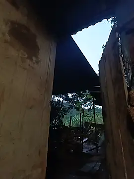 Jinli_01