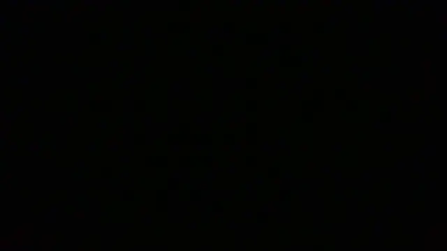NuttyProfesir